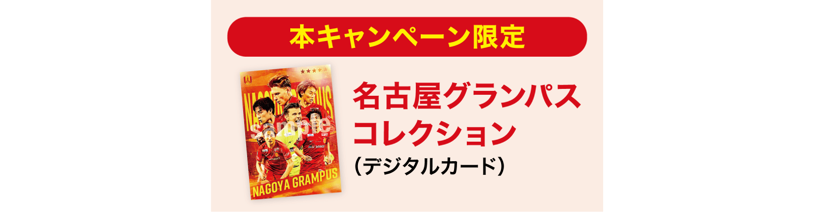 
                  A賞・B賞の条件達成者のうち、対象のWINNERを3試合以上購入で...
                  本キャンペーン限定の名古屋グランパスコレクション（デジタルカード）を進呈いたします。
                  
                