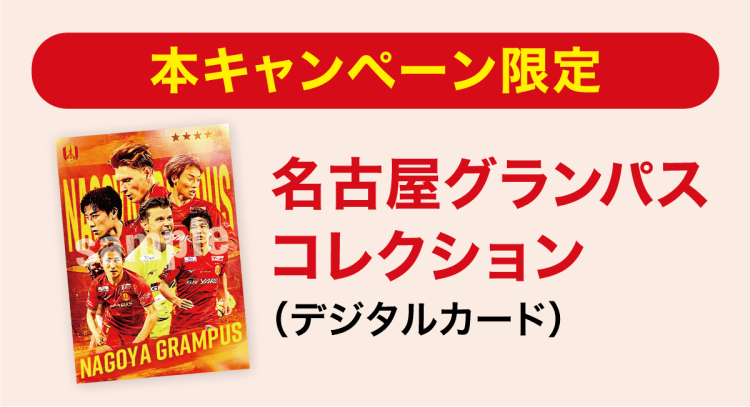 
                  
                A賞・B賞の条件達成者のうち、対象のWINNERを3試合以上購入で...
                本キャンペーン限定の名古屋グランパスコレクション（デジタルカード）を進呈いたします。
                  
                